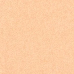 Tan Foam Instep Cushions